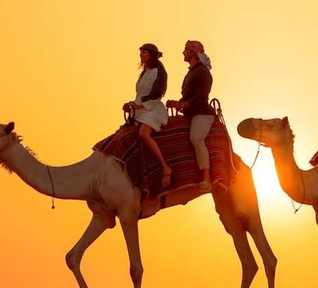 1dd49df217b4e9cc8a7212399868320e-14252-dubai-ultra-luxury-desert-safari--wildlife-tour---fine-dining-02